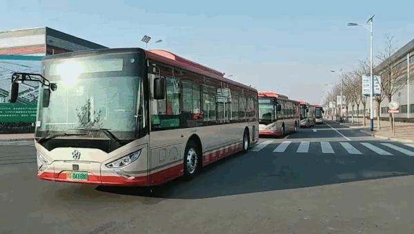 天津自然之旅,邂逅宁静的心灵空间