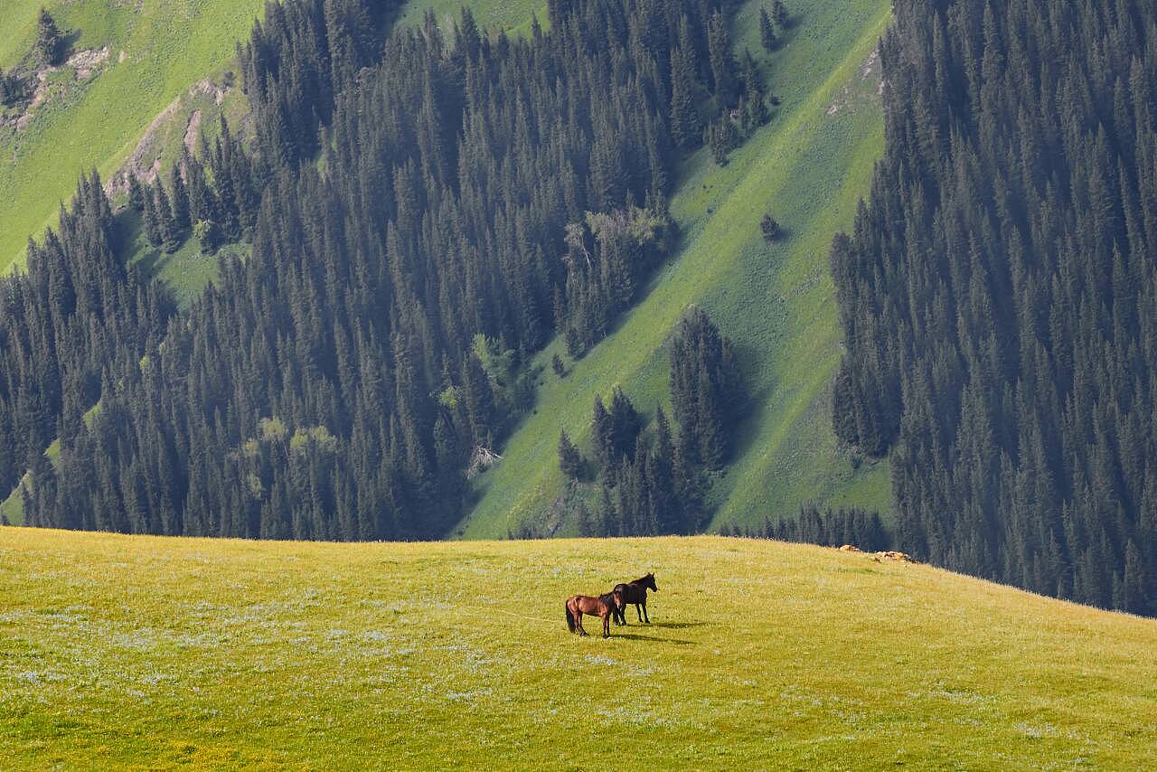 梦想之翼,新疆的飞翔之地