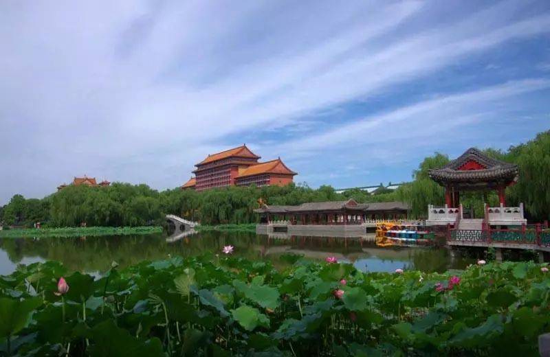 廊坊,廊坊,小巷深处的独特风情与一家迷人小店